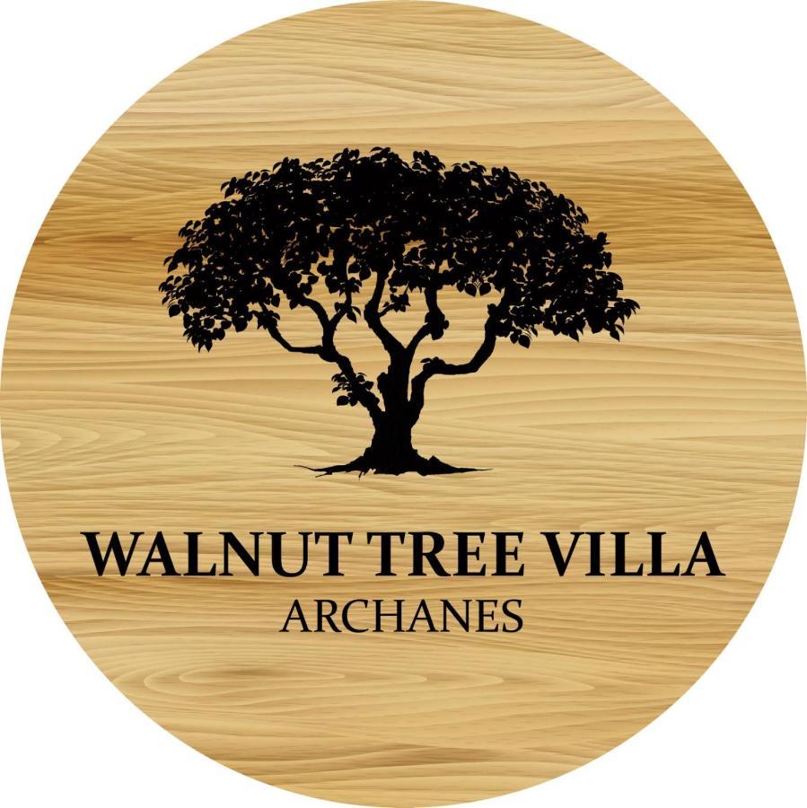 Walnut Tree